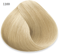 1100