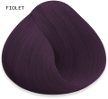 FIOLET